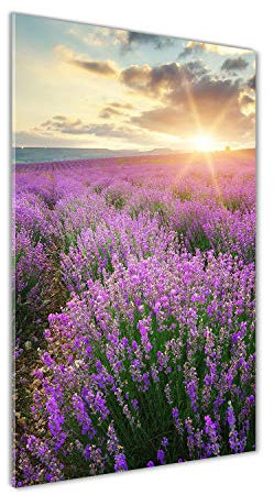 Tulup - Impression sur Verre Acrylique - 70x140 - Image sur Plexiglas - Déco Mural derrière Le Plastique - Tableaux pour la Mur - Mural Art - Décoration - Paysage - Violet - Champ de Lavande
