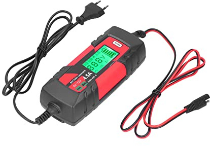 Chargeur de Batterie de Voiture, Mainteneur de Batterie Fiable avec Mode Hiver pour Tondeuse à Gazon pour Bateaux et Motos
