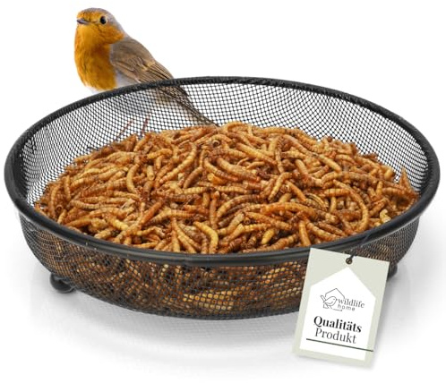 WILDLIFE HOME Comedero para pájaros, diámetro de 18 cm, metal I Comedero para suelo, comedero de suelo para pájaros, comedero para pájaros, comedero para pájaros silvestres durante todo el año