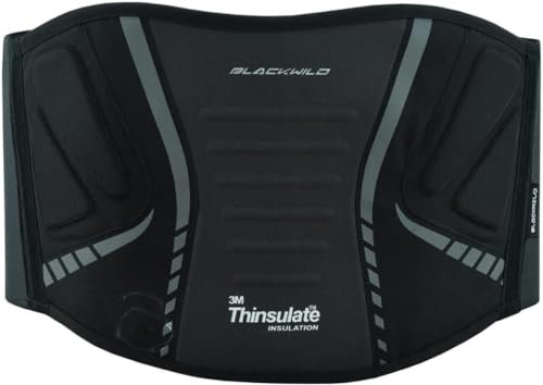BLACKWILD Nierengurt Motorrad | 3M Thinsulate Warme Nierengurt Motorrad Herren und Damen für kaltes Wetter | Nierenwärmer Lendenwirbelstütze Nierengurt (XL)