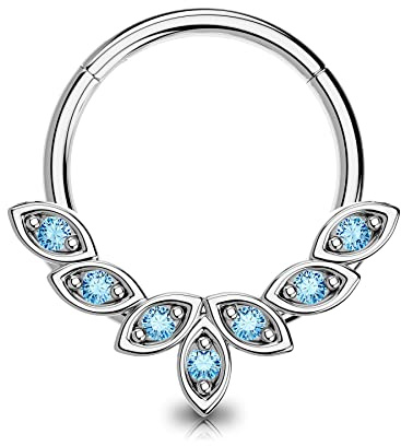 OUFER Septum Rings 16G, 316L Stainless Steel Septum Rings Hoops, Cluster CZ Hinged Segment Daith Helix Piercing Jewelry For Women And Men-BL 8MM