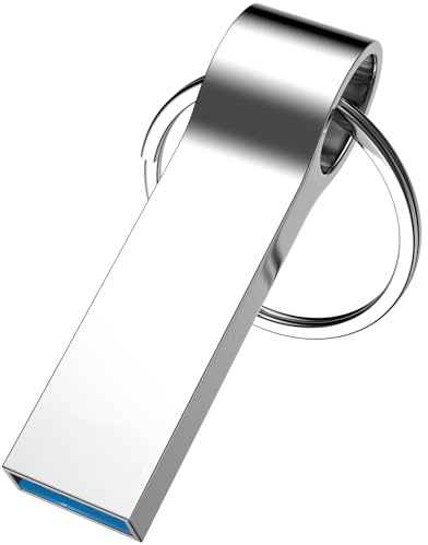 1 Pack USB Stick 512 GB mit Schlüsselanhänger, Tragbar Speicherstick 3.0 Wasserdichtes Memory Sticks Metall USB-Flash-Laufwerk Datenspeicher-Backup für Auto/Computer/Laptop