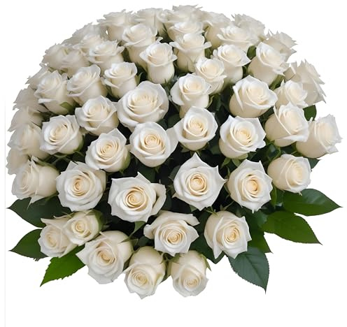 50 White Roses | Bulk Roses by Arabella Bouquets | Real Fresh Flowers for Delivery, Gift for Birthday Women, Congratulations, Anniversary, Thank You, Mother's Day