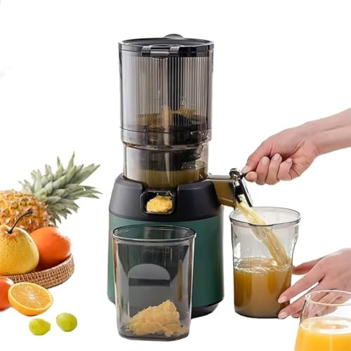 Whole Fruit Juicer Machines, 130MM Diameter Slow Masticating Juicer, Quiet Motor