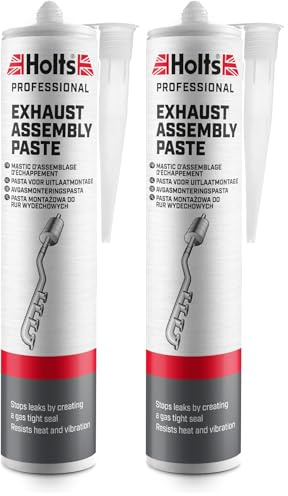 Holts LOYPRO29A Pro Cartridge Professional Exhaust Assembly Paste, 300 ml (Pack of 2)