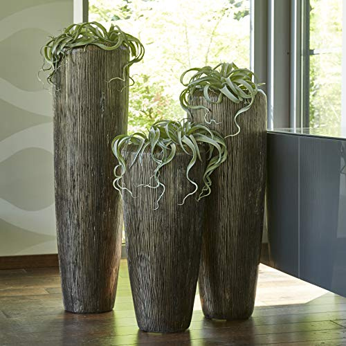 Klocke Pflanzgefäße Edle & Hochwertige Pflanzvase Rillenstruktur - Fiberglas - Inklusive Einsatz – Indoor – Pflanzkübel Metallic/Metallisch (Medium: 100cm, Bronze)