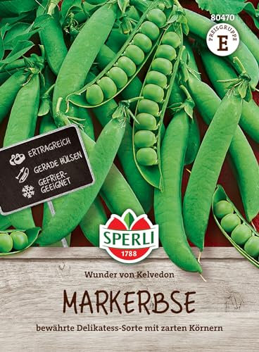 Sperli Markerbsensamen Wunder von Kelvedon 80470 – bewährte Delikatess-Sorte mit zarten Körnern für 5 bis 7 Meter- Gemüsesamen, Saatgut, Gemüsepflanzen, Samen Gemüse, Erbsensamen