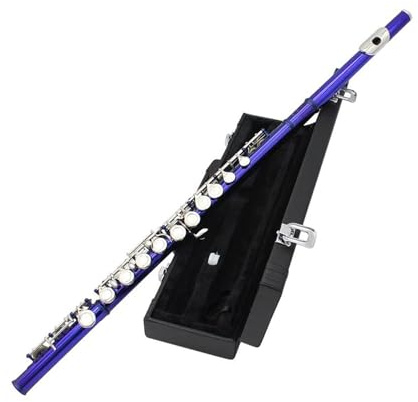 Querflöte Instrument Blaue 16-Loch-Flöte Mit C-Stimmung Und E-Tonart Holzblasinstrument Vernickeltes Silber Kupfernickelrohr Flöte Mit Zubehör