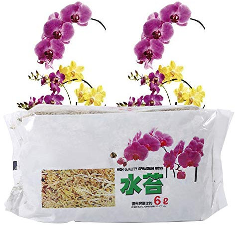 BTOSEP Musgo Sphagnum de Orquídea, Fertilizante Orgánico de Nutrición Hidratante de Musgo Sphagnum de Jardín 6L para Orquídea Phalaenopsis