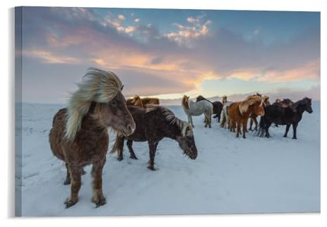 1000-teiliges Puzzle，Pferde Auf Island，1000-teiliges Puzzle für Erwachsene und Jugendliche（38x26cm）-18
