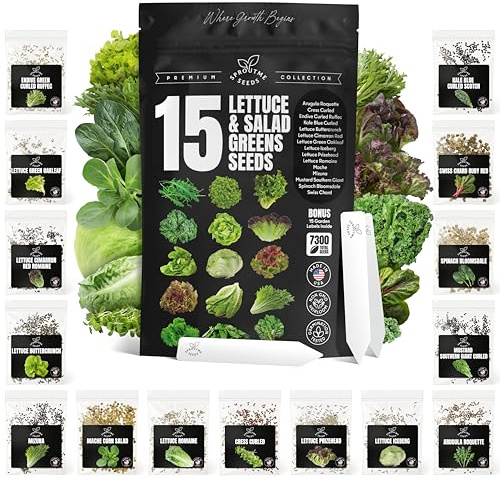 Lettuce & Salad Greens Seeds Variety Pack – Spinach, Kale, Arugula, Romaine & Iceberg Lettuce – 15 Varieties, 7300+ Non-GMO Heirloom Seeds, Indoor & Outdoor Growing