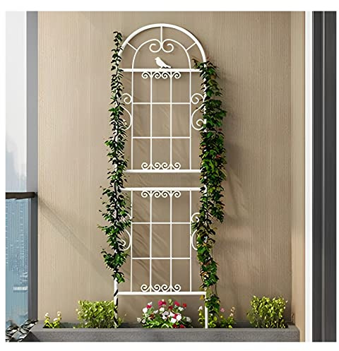 NOIRDA Gartenspalier Rankhilfe Gitter Metall Mit Verspielten Design, 185 cm, 210 cm, 230 cm Rankgitter Für Topfpflanzen, Balkon, Terrasse, Schwarz Weiß (Color : White, Size : 210cm/82.6in)