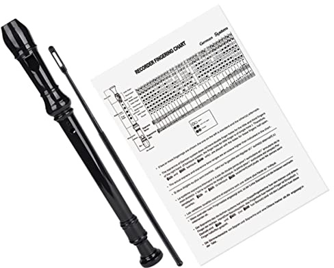 ULDIGI 8loch Titel Kunststoffblockflöte Mit Reinigungsstab Langlebiges Instrument Für Musikliebhaber Für Klassenräume Bühnen Und Bands