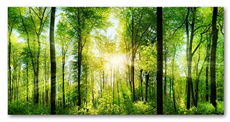 Tulup Glas-Bild Wandbild aus Glas - Wandkunst - Wandbild hinter gehärtetem Sicherheitsglas - Dekorative Wand für Küche & Wohnzimmer 120x60 - Landschaften - Wald Sonne - Grün
