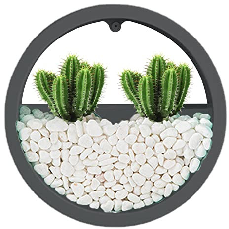 FOUNCY Durchsichtiger Übertopf zur Wandmontage, klare Wandvase, Sukkulenten-Übertopf, Wandvase, Blumentöpfe, Innenpflanze, runde Wandvase für dekorative Korbpflanzen