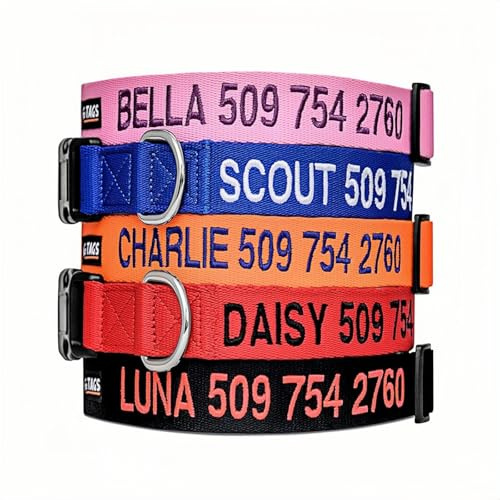 Personalisiertes Hundehalsband – Individuell Bestickt mit Name & Telefonnummer | Reflektierendes Nylonhalsband mit 4 Verstellbaren Größen für Kleine Bis Große Hunde