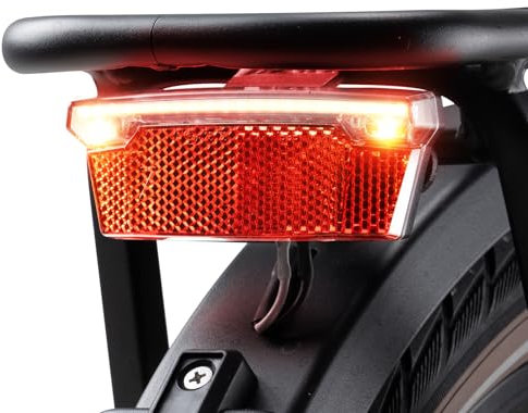 E-Mangue LED Fahrrad Gepäckträgerlicht mit Reflektor, StVZO Zugelassen Fahrrad Rücklicht, Brake-Sensing E-Bike Rücklicht, LED Rack Rücklicht für Nacht Radfahren Sicherheit