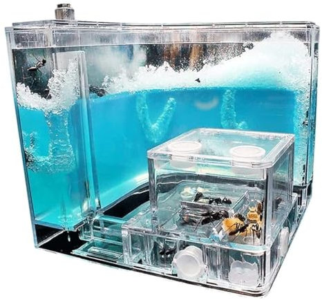 FENGJISUN Ameisenfarm Ameisen Farm Ameisenburg-Beobachtungsset, Ameisenverhalten Zu Hause Lernen, Ameisenfarm-Tunnel, Ameisennest-Farm Ameisenfarm Erwachsener