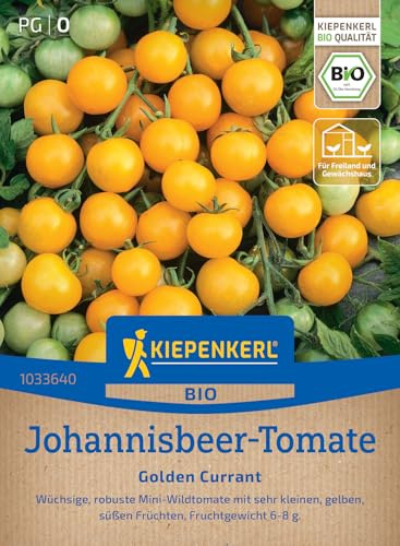 Kiepenkerl Johannisbeer-Tomatensamen Golden Currant 1033640, Gemüsesaat | Sehr ertragreich, Tomatenpflanzen, für Freiland & Topf
