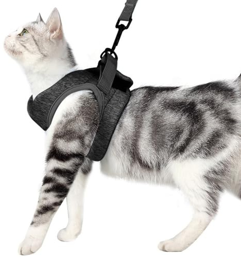 XFSRG Katzengeschirr Bequem und Atmungsaktiv Fluchtverhinderung Katzengeschirr Starker Klettverschluss Verstellbar Haustierzubehör