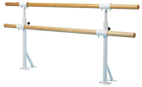 ISCBAFYX Feste Ballettstange, höhenverstellbar, tragbar, doppelt, freistehend, Fitness-Stretch-Tanzstange für Heim- oder Studiotanzen (Größe: 1 m) (1,5 m) (1 m)
