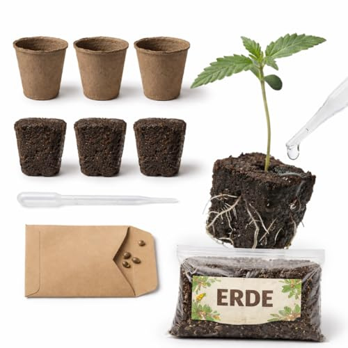 Cannabis Anbau Starter-Kit/Set für drei Automatik Gras/-Weed Pflanzen inkl. Anbauanleitung und Zubehör (3x Gorilla Glue)