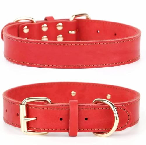 SLZZ Prämie Echtes Leder Hundehalsband/weich Dauerhaft Schwere Echtes Leder Hundehalsband für Rüde Weiblich Kleine X-Kleine Mittlere Große X-Große Hunde