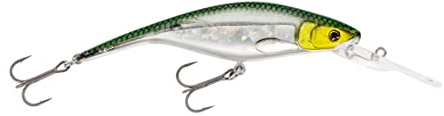Westin Wobbler zum Hechtangeln & Zanderangeln 10cm 16g P10DR Crankbait Floating