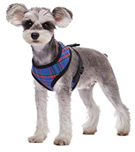 BT Bear Hundegeschirr-Set, klassisches kariertes Hundegeschirr, Weste, weiche Baumwolle, verstellbar für Welpen, kleine Hunde (XS, blau)