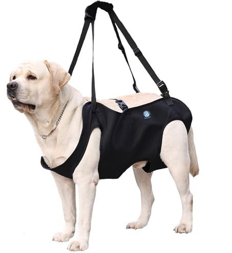 KAJILE Imbracatura di Sollevamento/Trasporto per Cani,Cinghie di Sostegno e Di riabilitazione Dell'imbracatura per Animali Domestici per Anziani,Disabili,Iesioni Articolari,Artrite,Nero,XL
