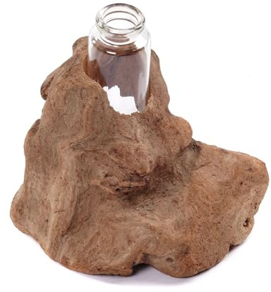 CREEDWOOD REAGENZGLAS VASE Yuma | Treibholz, 13x11cm (HxB) | Holz Blumen Vase, Treibholz mit Glasvase, Wurzelholz, Dekovase, Tischdeko