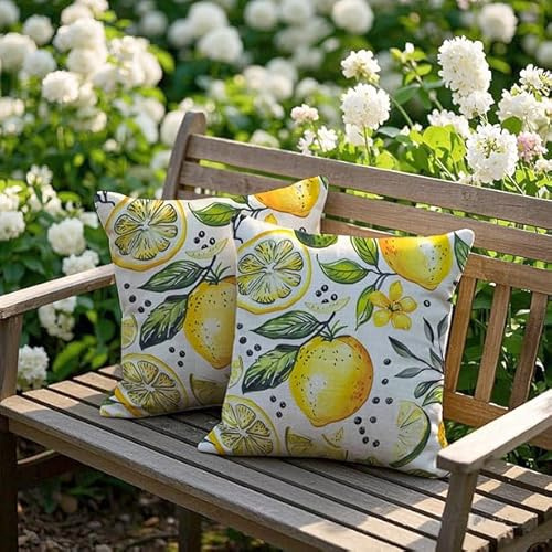 Cirzone Outdoor Kissen Dekorative 4 er Frühling Kissenbezug 45 x 45 cm Gartenkissen Atmungsaktiv GNOME Rosa LKW Kissenbezug Werden für Heim Sofak Garten