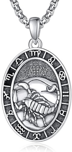 ADMETUS 12 Sternzeichen Halskette Silber 925 Tierkreiszeichen Anhänger Schmuck Runde Sternzeichen Konstellation Kette Geschenke für Männer mit 2.5mm 22+2 Rolo Ketten
