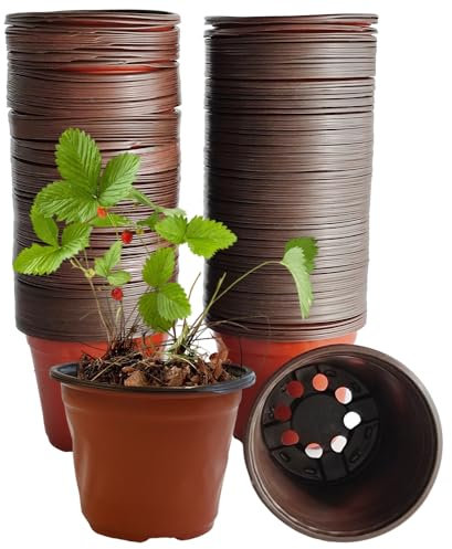 Armo® 100 Pack Plastic Plant Pots 10CM Seed Seedling Flower Vegetable Herbs Growing Greenhouse Plant Pot