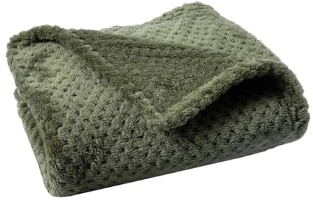 Wokuaile Waschbar Hundedecke für Große Hunde Fleece Weiche Flauschig Warme Katzendecke für Haustier für Unterwegs, Bed, Sofa Grün, 80 x 100 cm