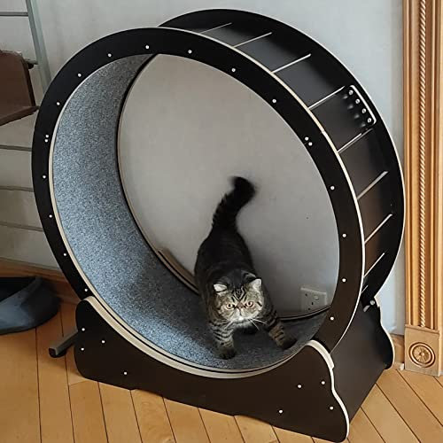 Katzenlaufrad Hochleistungs-Katzenrad-Übungslaufband, Schwarz Leises kleines mittelgroßes Katzenlaufbandspielzeug/Katzenkratzbrett, 80/90/100 cm, einfache Montage (Größe: M-Innendurchmesser