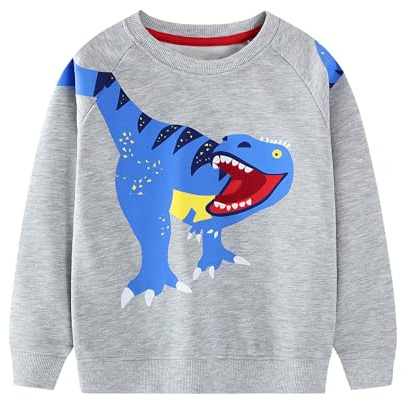 Baogaier Pojkar sweatshirt bomull dinosaurie jumper mjuk komfort långärmad t-shirt rund hals djurtryck pullover småbarn vinter höst vardaglig sport toppar barnkläder ålder 2-7 år, Grå dinosaurie, 6-7