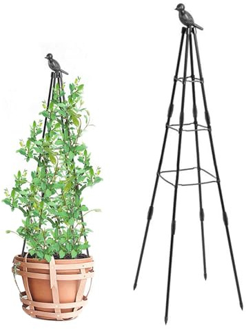 Enrejado para Plantas trepadoras al Aire Libre, Enrejado de jardín Ajustable de 63 Pulgadas de Altura, de obelisco Inoxidable, Planta extraíble Interior para Flores y Verduras, decoración de