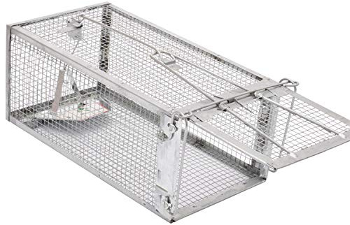 Kensizer Large Animal Humane Live Cage Trap That Work for Rat Mouse Chipmunk Mice Voles Hamsters Possum and Other Rodents, Catch and Release | For Rat Mouse Chipmunk Mice Voles Hamsters and Other Small Rodents, Catch and Release, 1 Pack
