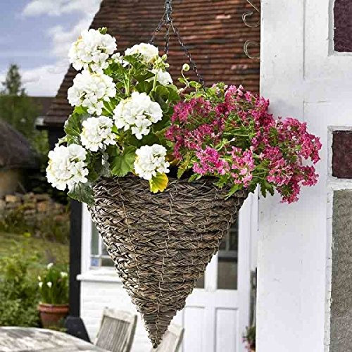 Smart Garden 14'' Faux Rattan Hanging Cone - Tawny