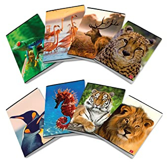 Pigna, Maxi Notebook Animal, A4 21x29,7 cm, 80 pages + tranche de plomb, papier 80 g/m², intérieur 4M, carré de 4 mm, couvertures assorties, 10 pièc.