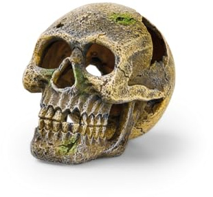 Eden 95228 Totenkopf - Aquariumdekoration, ideales Versteck für Aquariumbewohner, individuelle Aquariumgestaltung