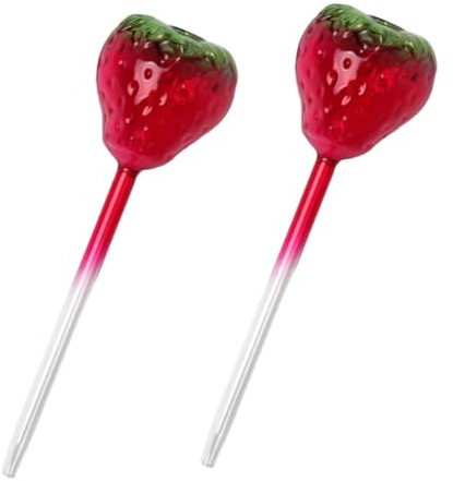 Toyvian 2 Pièces Plant Watering Globes Verre Forme Fraise Arrosage Automatique pour Plantes Dintérieur et Extérieur Bouteilles Auto Arrosantes Décoratives et Réutilisables