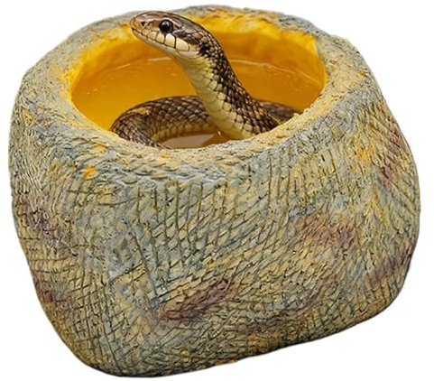 Reptilskål Bred bas halkfri matskål | Vattenskål för Orm, Terrarium För gecko, sköldpadda, eremitkräfta, spindel – blötläggning, drickande inomhus i terrarium