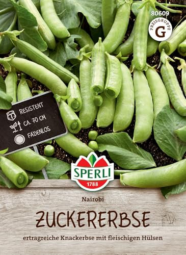 Sperli Zuckererbsensamen Nairobi 80609 - Saftig-knackige Erbsensamen für fadenlose, fleischige und resistente Zuckerschoten, intensiv mittelgrüne Erbsen