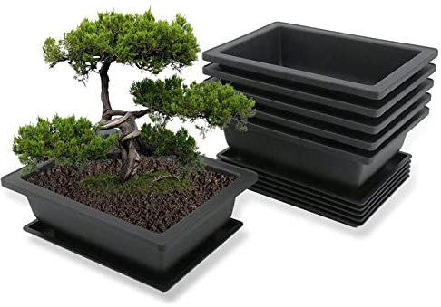 MissFox Bonsai Schale mit Untersetzer, Blumentopf Rechteckig aus Kunststoff, Bonsai Topf Set Pflanztopf für Garten, 6 Stücke Blumentöpfe Groß mit Tablett, 16x12x6cm