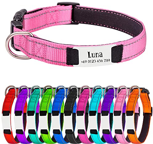 Hundehalsband für Kleine Hunde, Reflektierend Halsband aus Nylon mit Weichem Neopren Polsterung einstellbar Hundehalsbänder Personalisiertes Hundehalsbänder