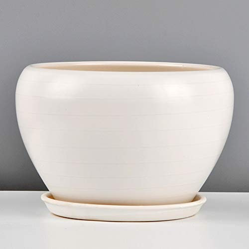 Europäischer Export Weiß Matt Blumentopf Keramik Minimalistischer Stil Creative Green Glory Large Mit Tablett Grünpflanzen-Sämaschine Geeignet for Desktop Floor (Color : White, Size : 20cm*14.5cm)