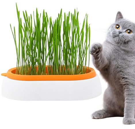 BSEID Katzengras-Pflanzgefäß für Hauskatzen,Katzengrastablett | Keimtablett für Katzen, Hunde und andere Haustiere im Innen- oder Außenbereich, Haustierzubehör, Geschenke für Katzen, die sie lieben