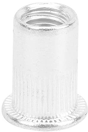 100 Stück Zugnietmuttern, WJ-30045 Aluminium-Flachkopf-Zubehör für vertikale Hardware, für Luftfahrt, Eisenbahn, Kühlung(M8*100pcs)